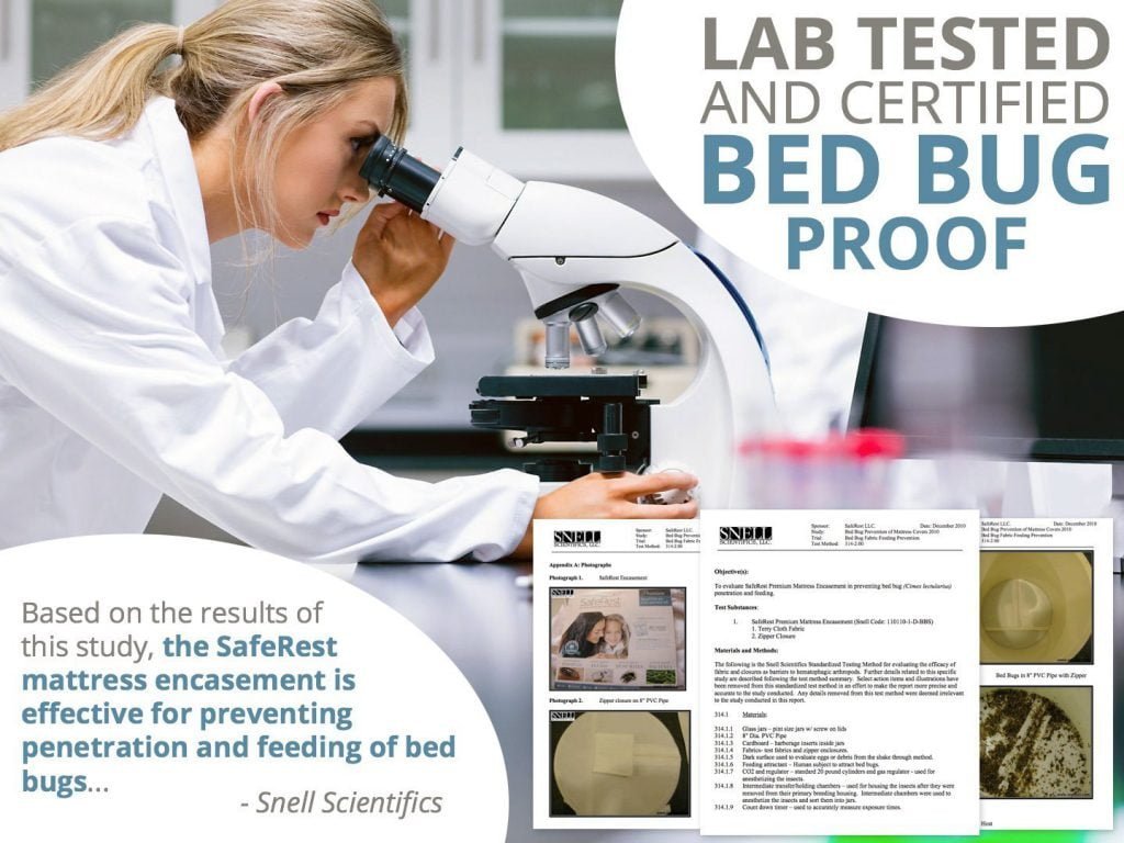 Best Mattress & Box Spring Protector