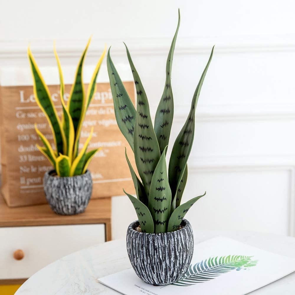 Faux-snake-plant