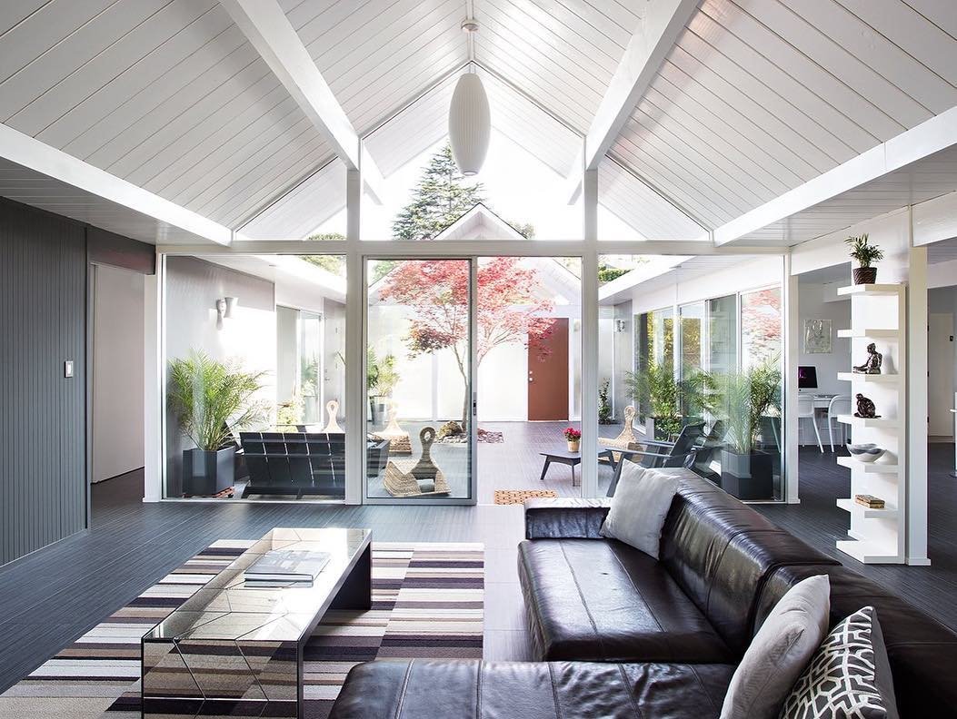 A modern living room with a brown leather sofa, glass coffee table, striped rug, and large windows overlooks an indoor atrium with plants and a tree—Mid Century Modern minimalism at its best.
